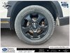 2024 Subaru Forester Wilderness-8
