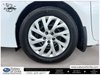 2019 Toyota Corolla LE-6