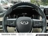 2023 Infiniti QX60 LUXE-12
