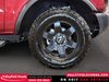 Ford Bronco Big Bend COMME NEUF 2025-10