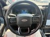 Ford F-150 Lightning PLATINIUM 2023-7