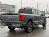 Ford F-150 Lightning XLT 2024-4