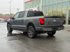 Ford F-150 Lightning XLT 2024-6