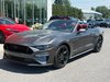 Ford Mustang GT Premium 2019-0