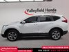 2019 Honda CR-V EX-L TEL QUEL-9