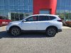 Honda CR-V EX-L IMPECCABLE! 2022-7