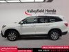 Honda Pilot EX-L Navi 2019-8