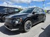 2024 Kia Niro EV 407KM AUTONOMIE-0