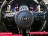 Kia Sorento 2.0L Turbo SX 2016-20