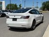 Tesla Model 3 model 3 2021-4