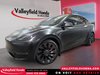 2022 Tesla Model Y Performance 456HP-0