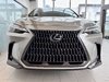 2022 Lexus NX 350-4