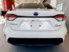 Toyota Corolla LE LE HYBRID 2023-10