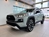 2020 Toyota RAV4 Trail-3