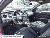 2011 Ford MUSTANG V6-12