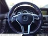 2014 Mercedes-Benz C-CLASS C 350-13