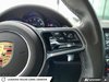 2017 Porsche CAYENNE PLATINUM EDITION-15