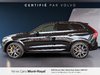 Volvo XC60 Recharge Polestar Engineered 2023-4