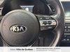 2018 Kia Cadenza Limited-11