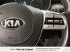 Kia Telluride EX 2020-12