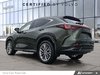 2023 Lexus NX 350-3