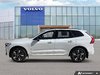 2026 Volvo XC60 Plus Dark Theme-1