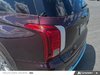 Hyundai Palisade Ultimate 2020-9