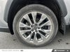 Toyota RAV4 Limited 2022-5