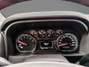 2024 Chevrolet Silverado 1500 CUSTOM TRAIL BOSS-17