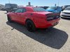 Dodge Challenger Scat Pack 392 Last Call 2023-4