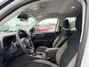 Ford Bronco Sport Big Bend 2025-9