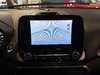 2019 Ford EcoSport SE-21