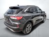 Ford Escape SEL 2020-6