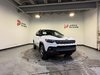 Jeep Compass TRAILHAWK //  ELITE 4X4 2022-0