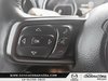 2023 Jeep Wrangler ALTITUDE-13