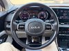 2024 Kia Carnival EX-16