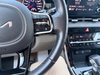 2024 Kia Carnival EX-18