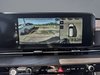 Kia Carnival EX 2024-19