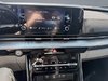 Kia Carnival LX + 2024-19