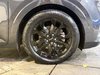 Kia Carnival SX 2024-10