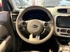 2019 Kia Soul EV EV-14