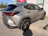 2024 Lexus NX 350H BASE-6