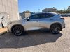 2024 Lexus NX 350H BASE-3