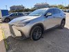 2024 Lexus NX 350H BASE-2
