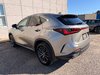 2024 Lexus NX 350H BASE-4