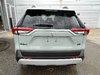 2019 Toyota RAV4 Trail-4