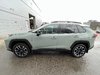 2019 Toyota RAV4 Trail-3