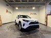 2019 Toyota RAV4 LE HYBRIDE-0