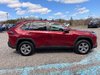 2024 Toyota RAV4 XLE AWD-7