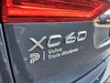 Volvo XC60 B6 MOMENTUM // PREMIUM PACK 2022-16